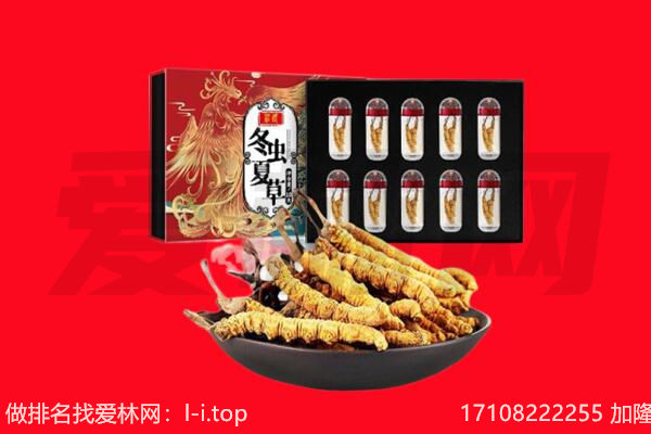 阿坝汶川县回收虫草.jpg